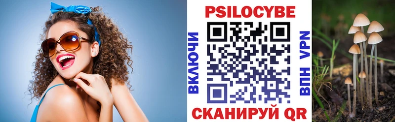 Псилоцибиновые грибы Psilocybine cubensis  Купить  Подольск 