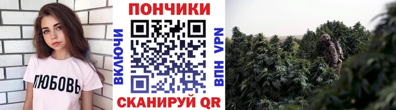 Шишки марихуана VHQ  Купить  Подольск 